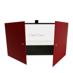 ⁠Expert Crystal Set - 图片 5